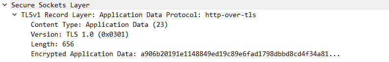 TLS로 내용이 암호화된 패킷.